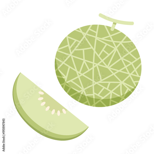 Melon vector. melon isolated on white background.