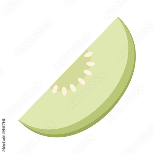 Melon vector. melon isolated on white background.