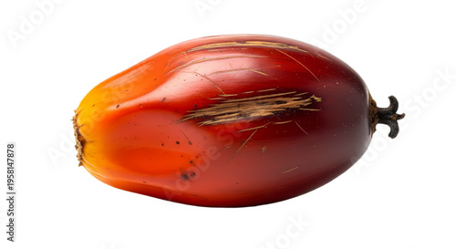 Single Fallen Oil Palm Fruit with Dirt Residue and Scratches Isolated on White Background