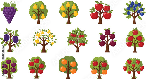 Fruit trees collection with apple pear orange plum cherry and berry trees orchard vector illustration set