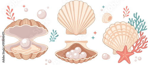Seashells and pearls collection with oyster shells starfish and coral elements, marine ocean decorative set flat vector illustration for beach design