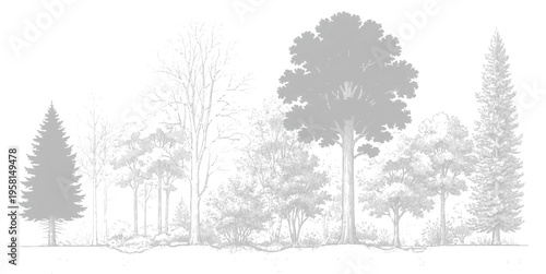 Minimalist light gray forest silhouette with different tree species on white