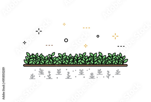 Weed suppression using dense ground cover presented as a thick layer of low growing plants overshadowing tiny faded weed silhouettes below, expressing natural