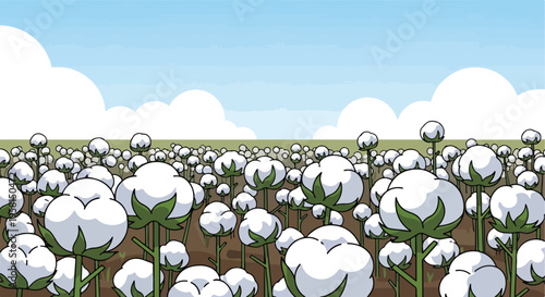 A vast field of fluffy white cotton bolls stretches under a bright blue sky with scattered clouds