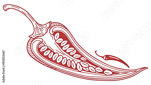 Detailed illustration of a vibrant red chili pepper sliced open to reveal seeds and a smaller pepper