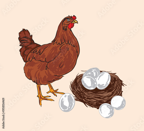 Brown Hen Standing with Eggs in Nest Rustic Farm Illustration