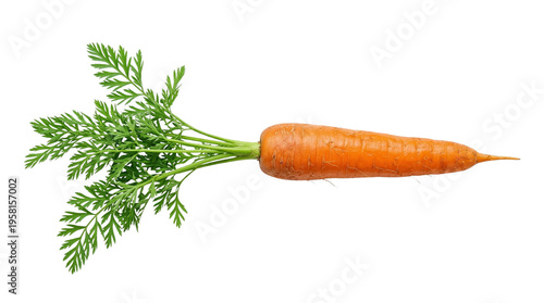 Freshly harvested vibrant orange carrot with lush green leaves, perfectly isolated on a crisp white background. Ideal for promoting healthy eating, organic produce, and wholesome culinary applications