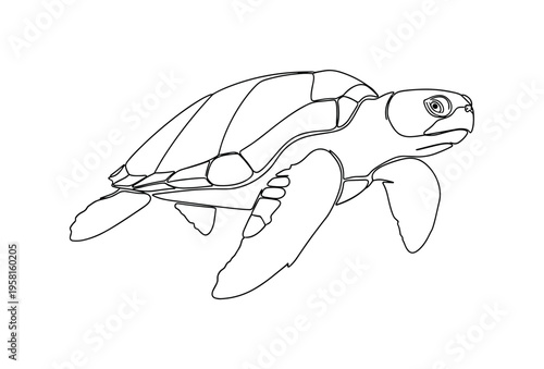 Loggerhead Sea Turtle. Minimalistic one-line drawing loggerhead turtle swimming with flippers extended, continuous single black line on white background,