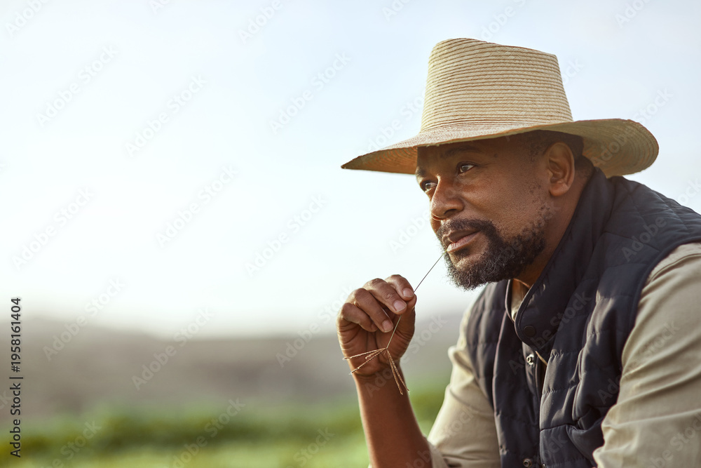 Fototapeta premium Man, farmer and thinking with grain for agriculture, horticulture and harvest for growth. Farm, reflection and mature black person with agro, sustainability or chew plant for vision on mockup space