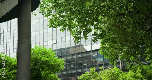 Green tree canopy is swaying from breeze in front of glass office tower, reflections are shifting