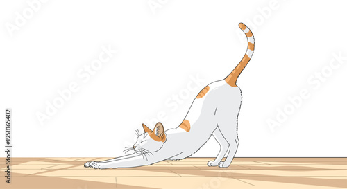 An illustrated white and orange tabby cat stretches its front paws forward on a light wooden floor, with its back arched and striped tail raised high.
