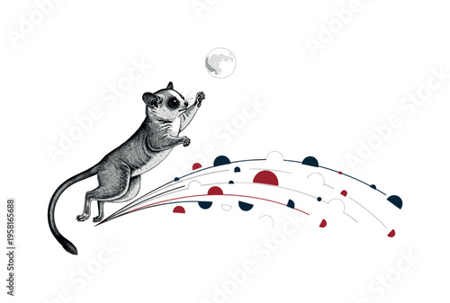 black-and-white bush baby jumping upward toward a floating circular moon shape, curved lines and semicircles showing motion and balance, red and dark blue