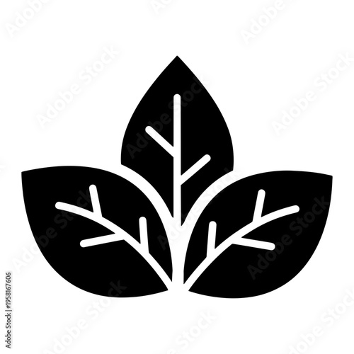 Leaves Vector Icon