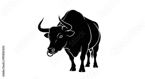 Black bull standing isolated on white.