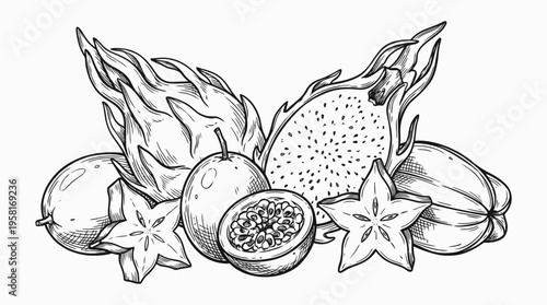A vector line drawing of various exotic fruits and leaves on a white background