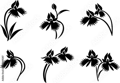 6 Premium Black White Egret Orchid Flowers Icons. Botanical Graphic Elements. Design Element. Clip art. Suitable for artwork design. Editable for any design.