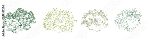 Vector set of colorful shrubs and bushes in elevation view for use in architectural drawings 