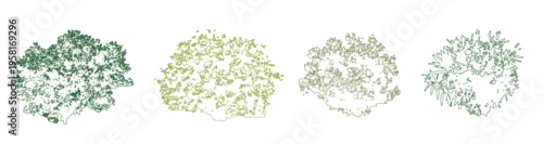Fototapeta na wymiar Vector set of colorful shrubs and bushes in elevation view for use in architectural drawings 