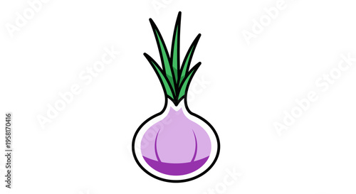 Purple Onion Vegetable Illustration Closeup.