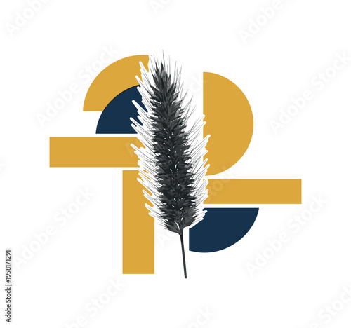 black and white close-up spikelet of wild grass with fine awns extending outward, white outline cut-out effect around the plant, abstract semicircles and