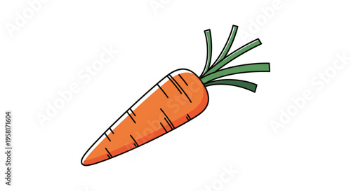 Fresh orange carrot vegetable root closeup.