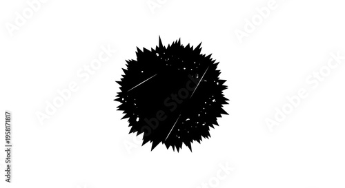 Black Fuzzy Round Object Closeup.