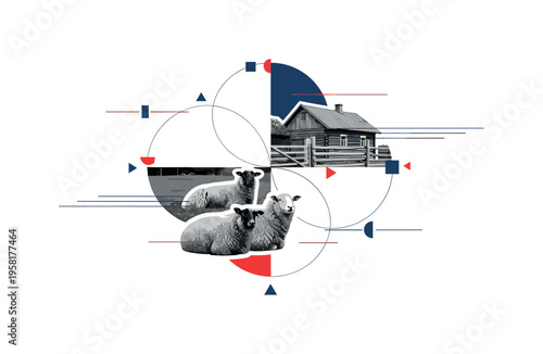 retro collage of sheep resting near a rustic rural home and wooden fence, monochrome realistic animals and house with white cut-out outline, intersecting