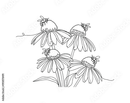Echinacea Flowers. Minimalistic one-line drawing coneflowers with bees perched on the petals, continuous single black line on white background, simple outline