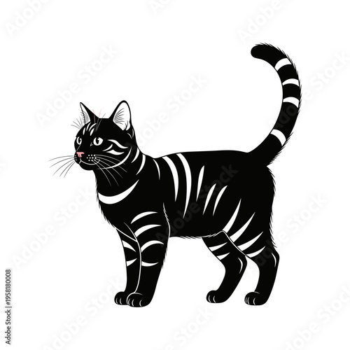 A black and white image of a standing cat