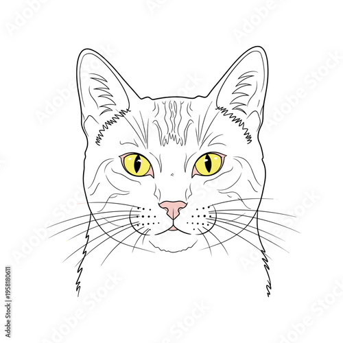 A drawing of a cat with yellow eyes