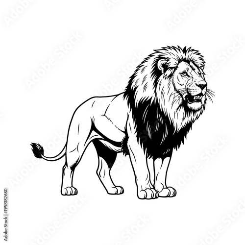A black and white drawing of a lion standing on a plain