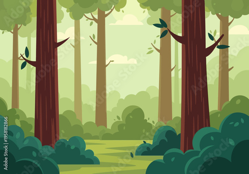 Lush green forest with tall trees and dense foliage.