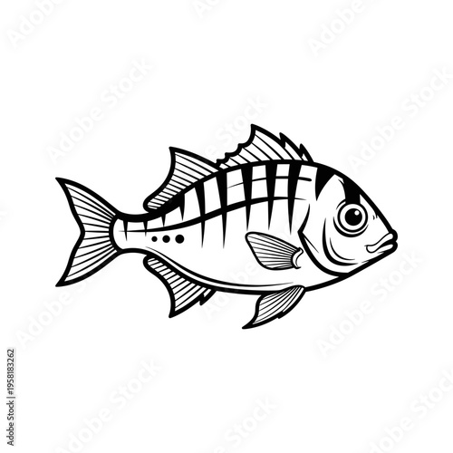 A black and white drawing of a fish