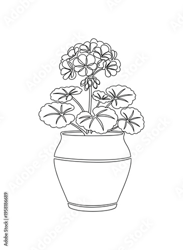 Geranium in Decorative Pot. Minimalistic one-line drawing blooming geranium plant with clustered flowers in a stylish home decor pot, continuous single black