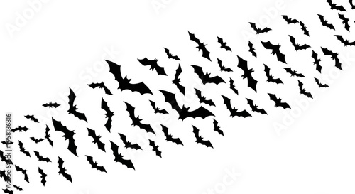 Large Flock of Birds Flying Together.