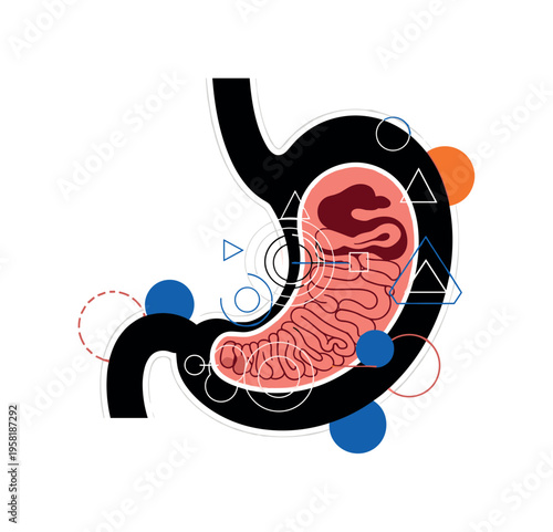 digestive tract illustration showing stomach focus abstract circles lines and geometric shapes representing nutrient processing black and white retro stomach