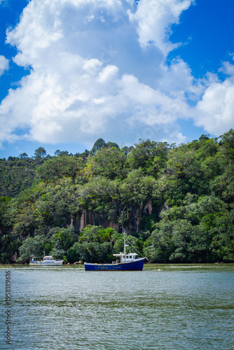 Fishing boats rest on calm waters beneath lush green hills and rocky cliffs. Seabirds glide across a bright sky. A serene coastal scene rich with nature and maritime charm at Mercury Bay, New Zealand