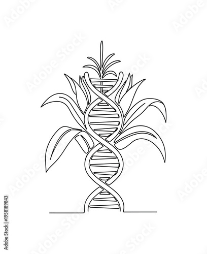 Genetically Modified Crop. Minimalistic one-line drawing corn plant merging with a DNA helix representing genetically modified agriculture, continuous single