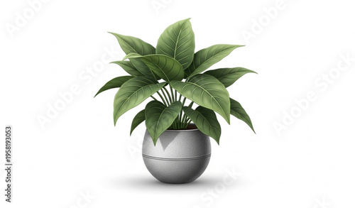 Lush Green Potted Plant with Large Leaves in Textured Pot Vector Illustration