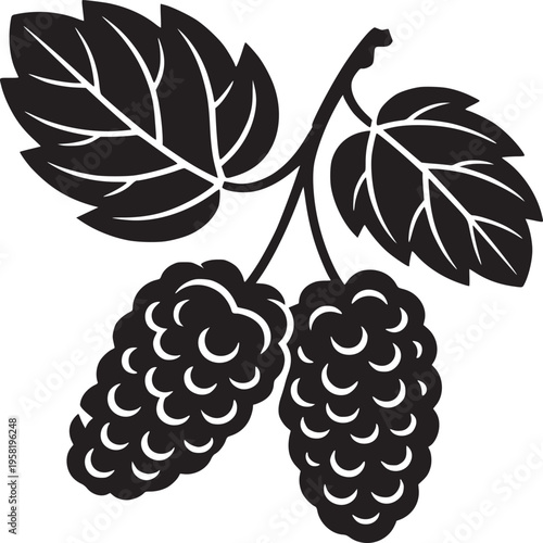 A graphic illustration of two blackberries hanging from a branch with leaves in black and white