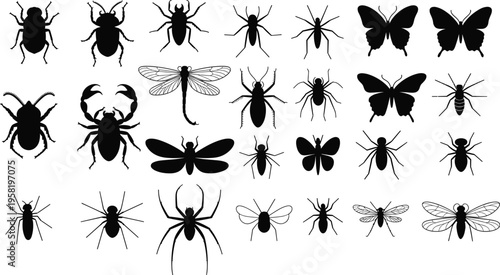 Insect and arachnid silhouettes collection, diverse beetles, ants, spiders, butterflies, dragonflies, bees, scorpion vector illustration set