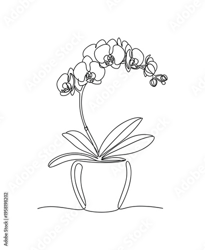 Orchid in Elegant Pot. Minimalistic one-line drawing delicate orchid flowers with curved stem in a decorative indoor flower pot, continuous single black line