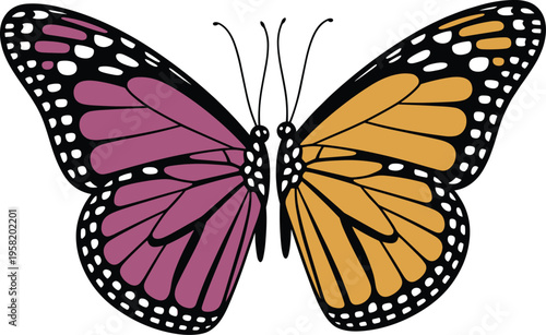 Coffee and barista icon set featuring moka pot french press coffee beans and various cafe drinks for menu design.