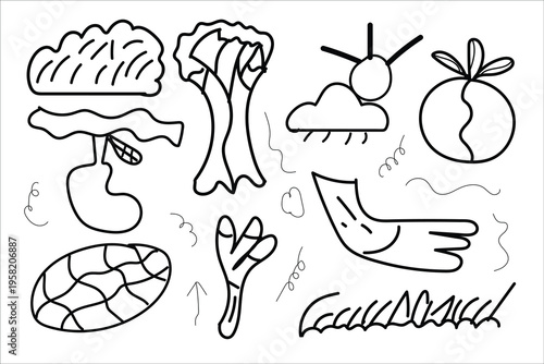 A collection of hand drawn illustrations of various objects