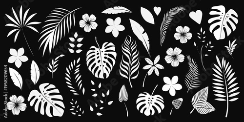 Collection of tropical leaves and flowers in a monochrome style