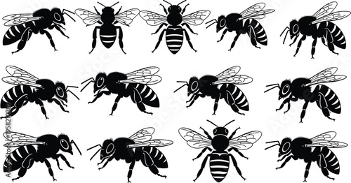 Bee silhouette illustration with multiple insects, detailed wings, colony behavior artwork, biodiversity design concept, entomology study inspiration, environmental awareness artwork