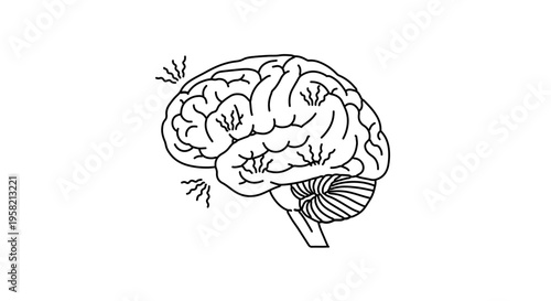 Illustration of brain inflammation due to chronic stress