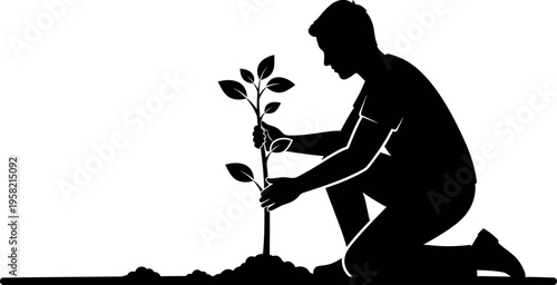 Person planting a young sapling in the soil with care and attention.