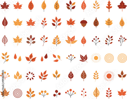 Fresh tropical fruits and citrus slices vector graphics