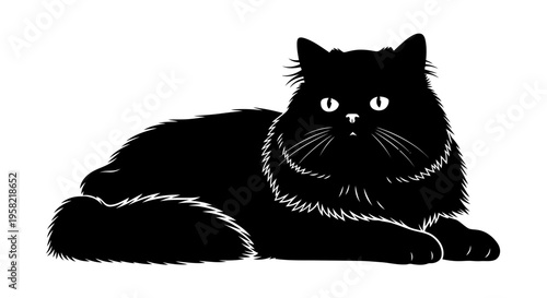 Black cat lying down on looking forward